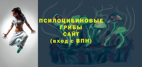 mix Богородицк